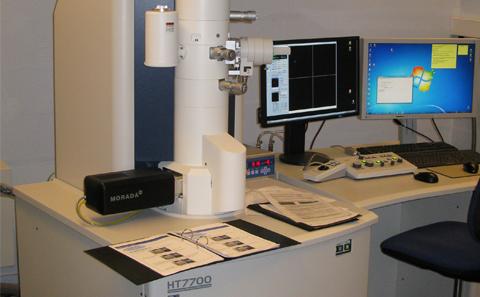 Transmission Electron Microscopy